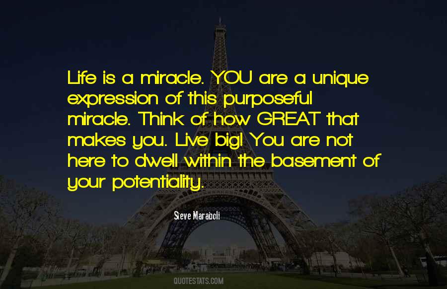 Life Is A Miracle Quotes #1798460