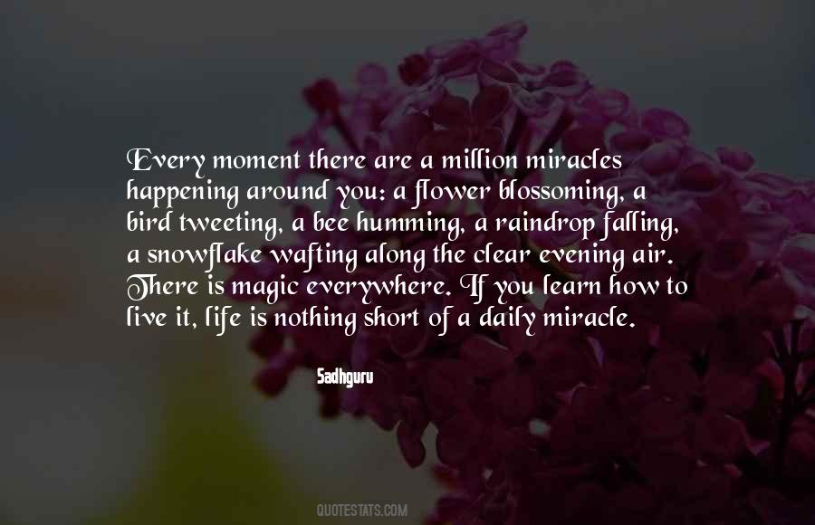 Life Is A Miracle Quotes #775287