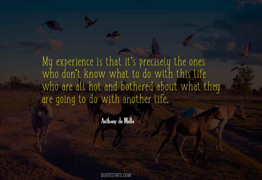 Life Is About Experience Quotes #347635