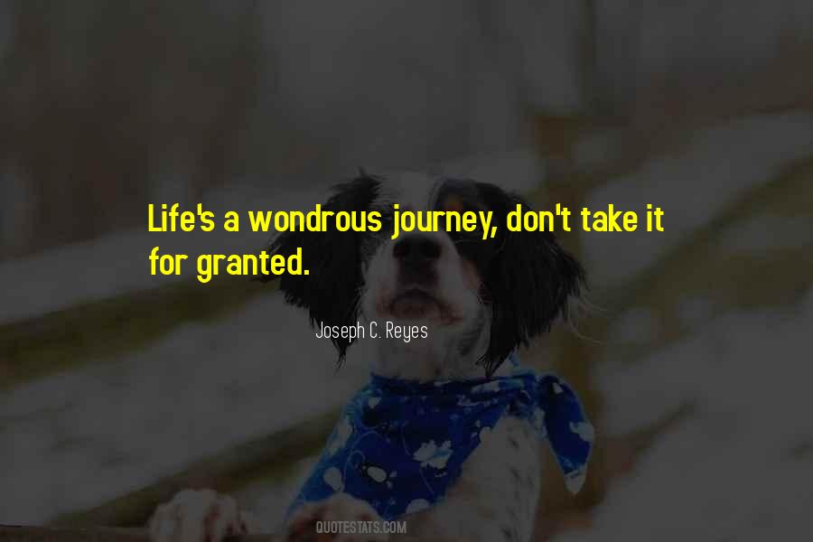 Life Is All About The Journey Quotes #611216