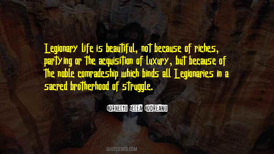 Life Is Beautiful But Quotes #624259