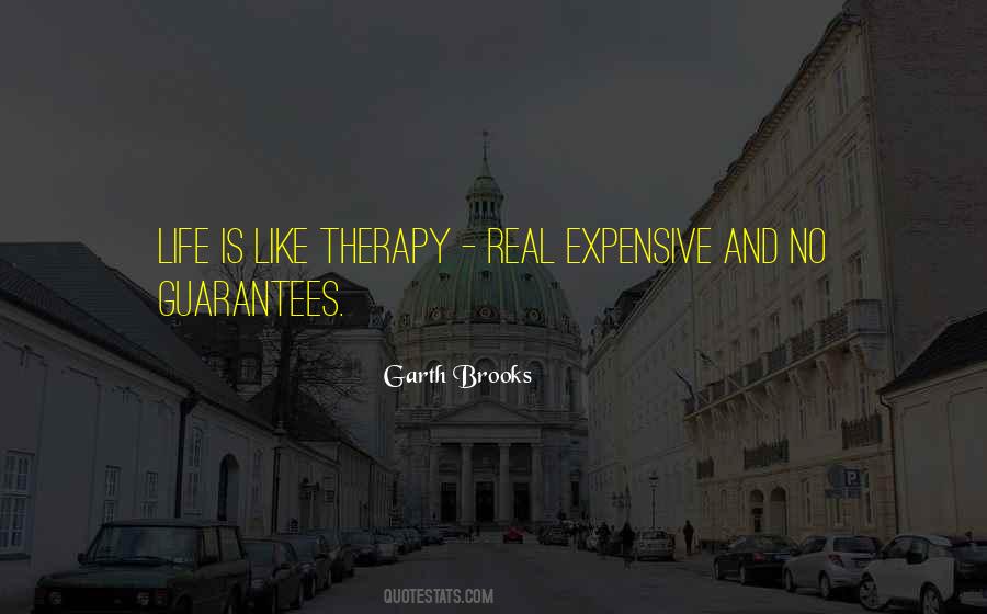 Life Is Expensive Quotes #1270085