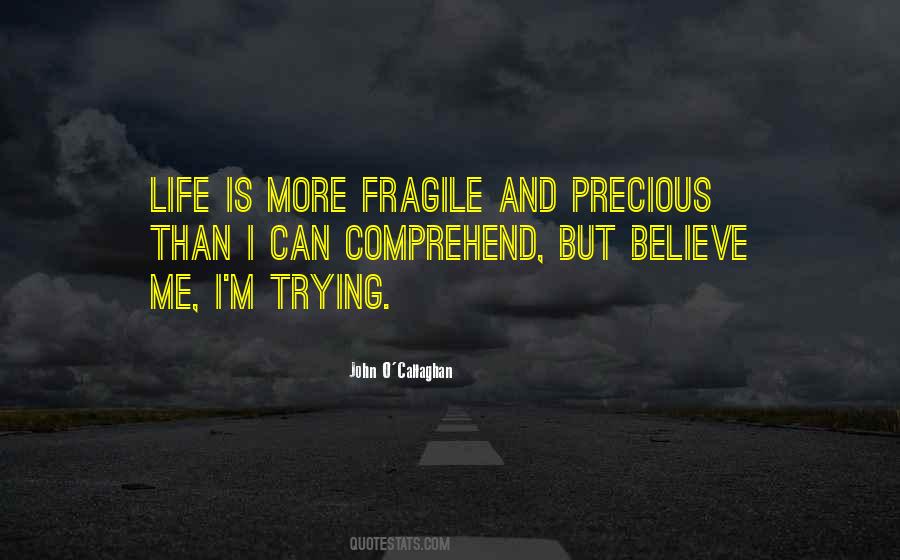 Life Is Fragile Quotes #1469839