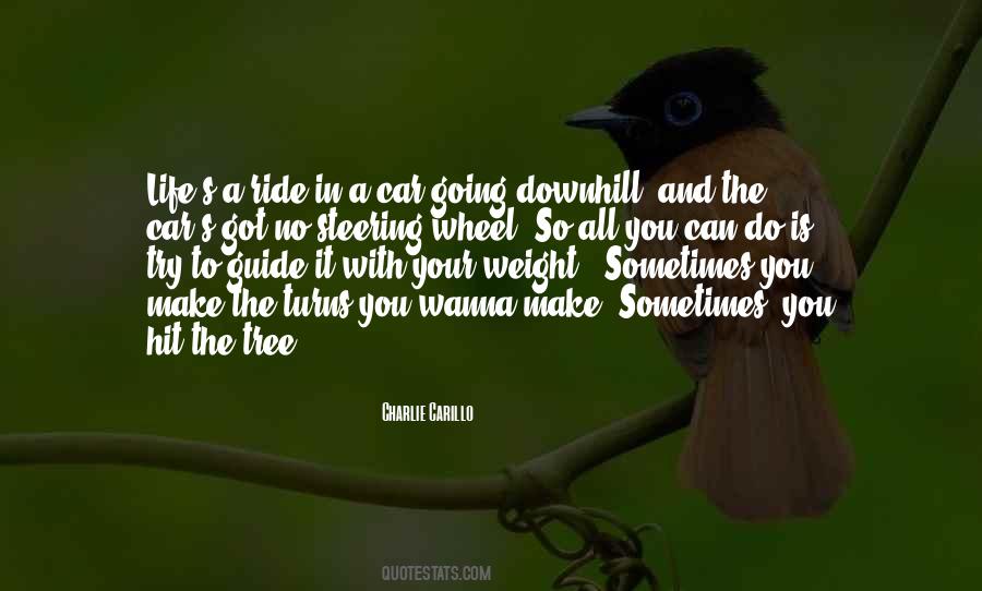 Life Is Going Downhill Quotes #473566
