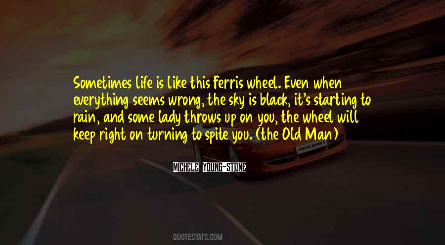Life Is Like A Ferris Wheel Quotes #110008