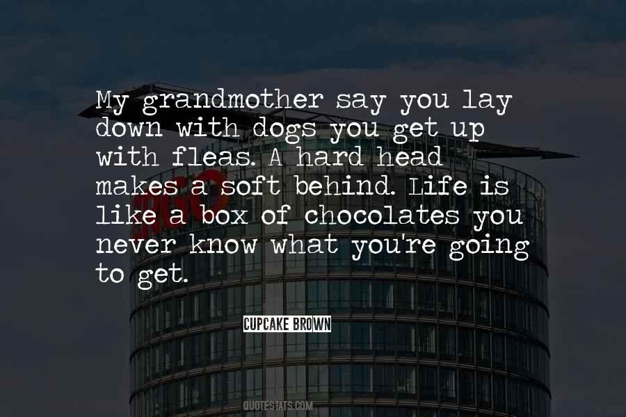 Life Is Not Like A Box Of Chocolates Quotes #1592436