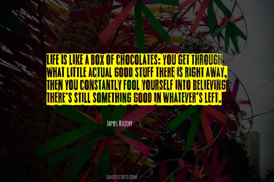 Life Is Not Like A Box Of Chocolates Quotes #894495