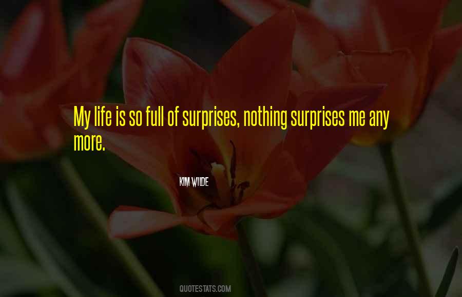 Life Is So Full Of Surprises Quotes #1146373