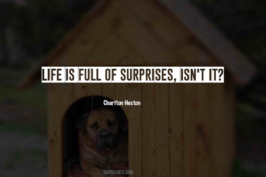 Life Is So Full Of Surprises Quotes #1581662