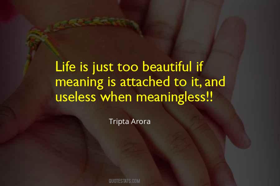 Life Is Too Beautiful Quotes #695391