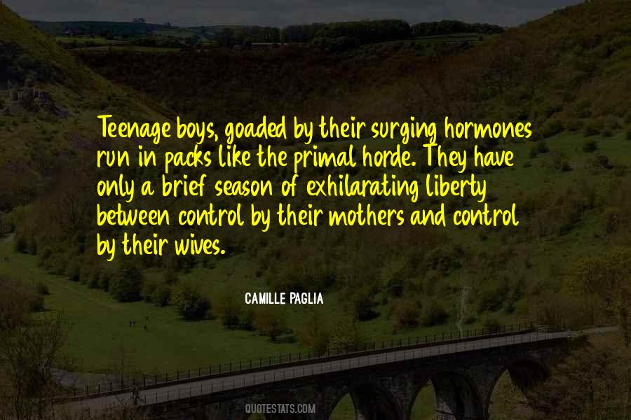 Quotes About Teenage Hormones #515377