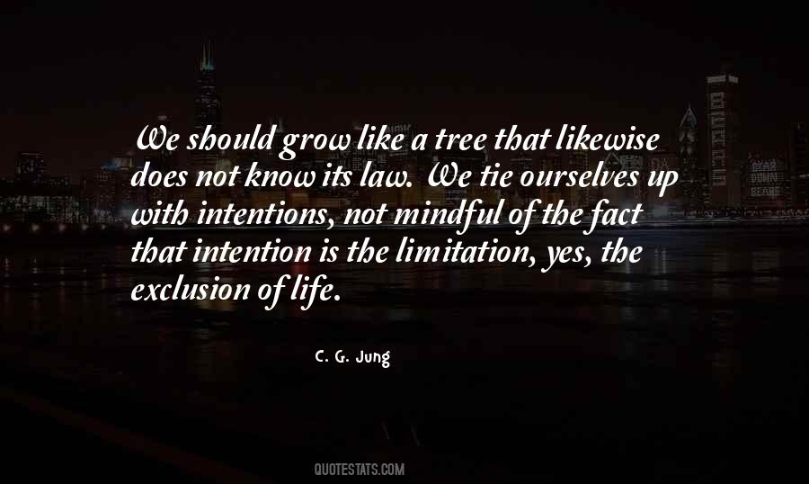 Life Limitation Quotes #1409199