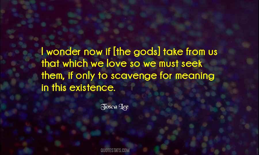 Life Love Meaning Quotes #541218