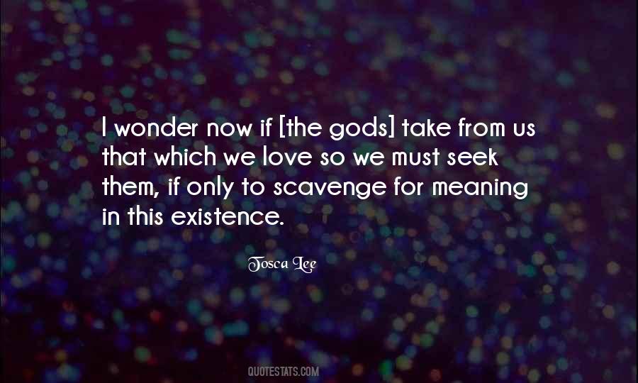 Life Meaning Love Quotes #541218