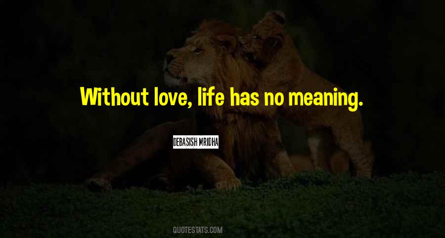 Life No Meaning Quotes #571100