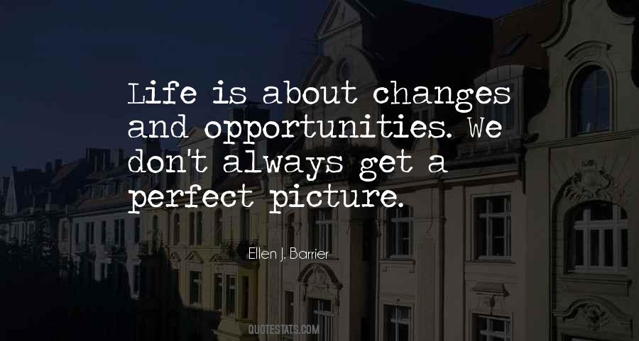 Life Not Always Perfect Quotes #716080