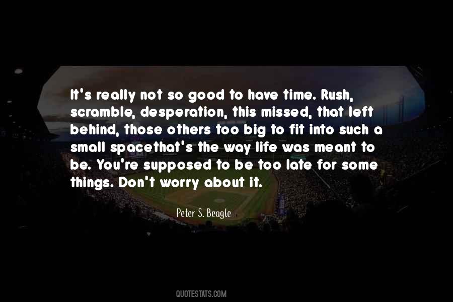 Life Not Good Quotes #63019