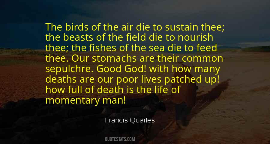 Life Of Death Quotes #8573