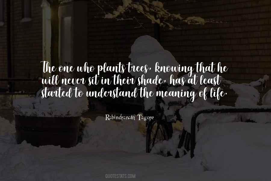 Life Of Tree Quotes #16924