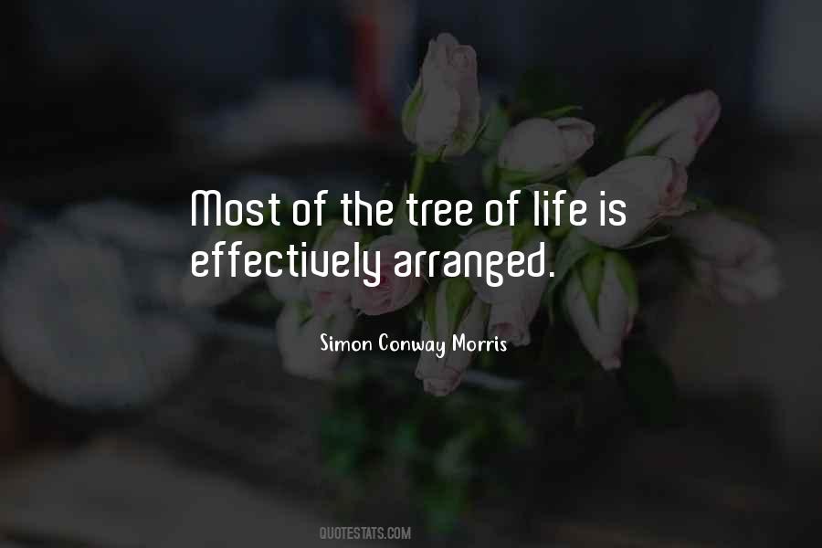 Life Of Tree Quotes #53556