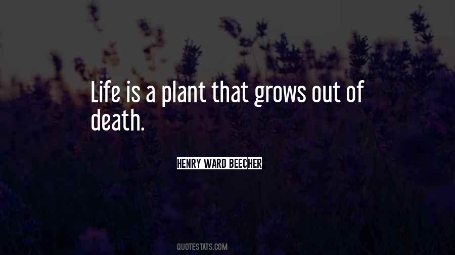 Life Out Of Death Quotes #508667