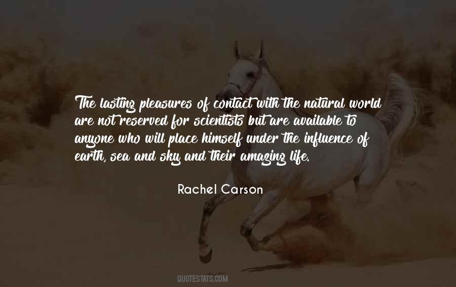 Life Pleasures Quotes #391942