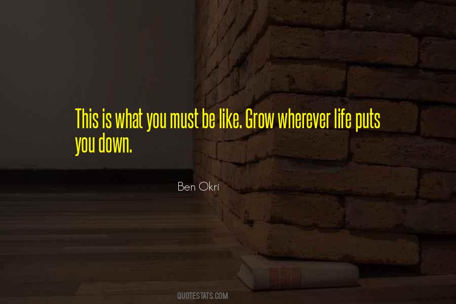 Life Puts You Down Quotes #1254958