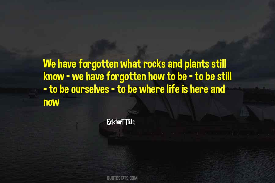 Life Rocks Quotes #1026281