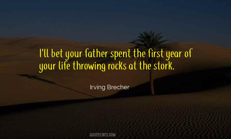 Life Rocks Quotes #826117