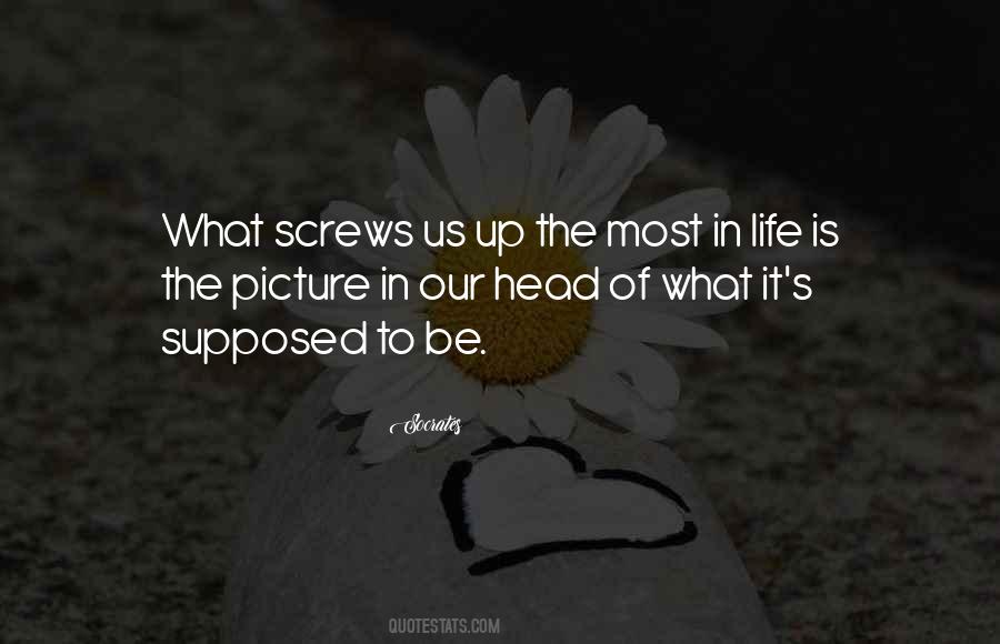 Life Screws Us All Quotes #1225089