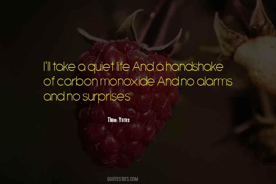 Life Surprises Quotes #1197992