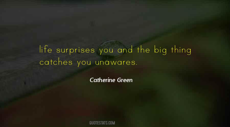 Life Surprises Quotes #1849472