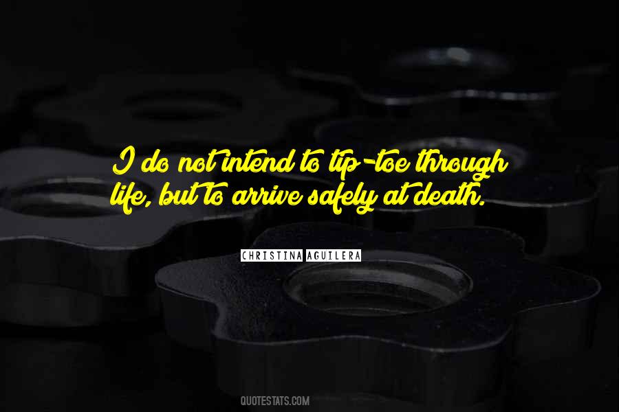 Life Through Death Quotes #241882