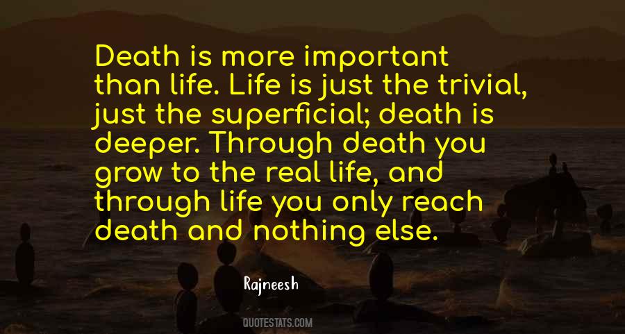 Life Through Death Quotes #726746