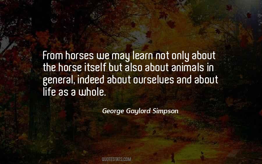 Life With Horses Quotes #761587
