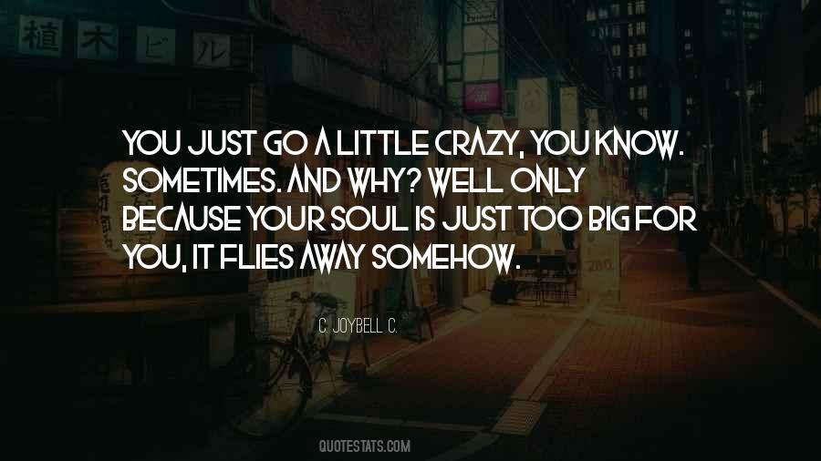 Life's A Little Crazy Quotes #372259