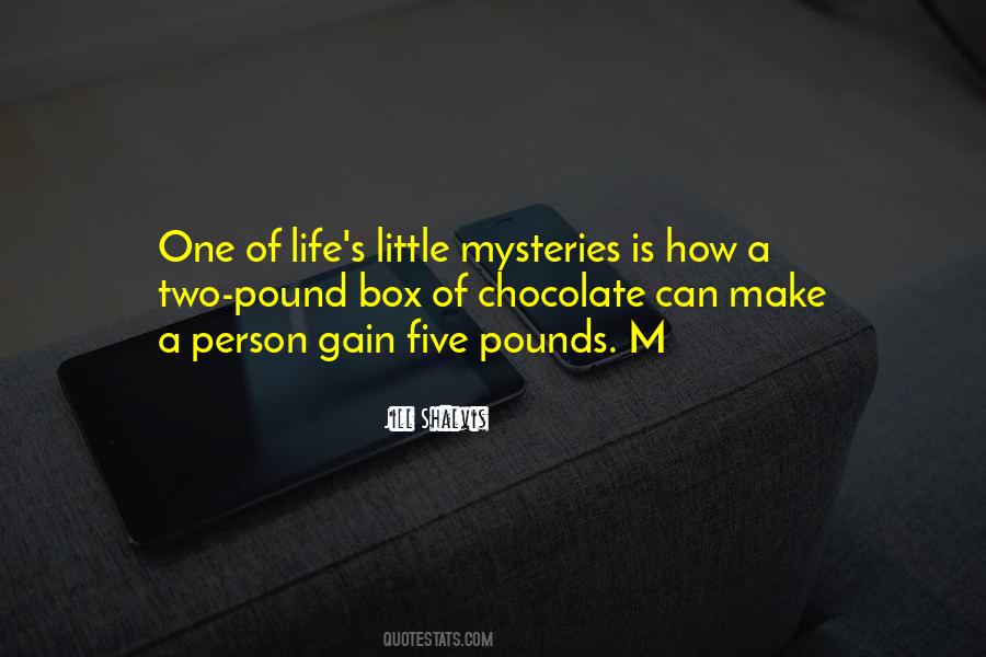 Life's Little Mysteries Quotes #899868