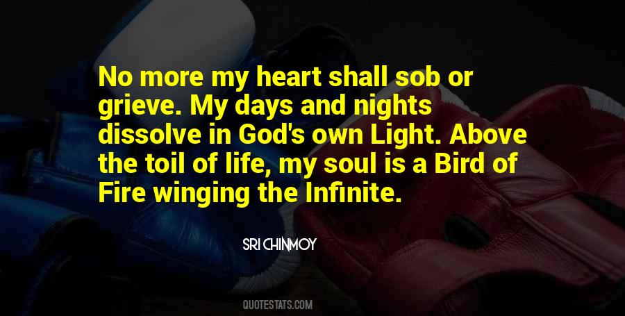 Light In My Life Quotes #843860