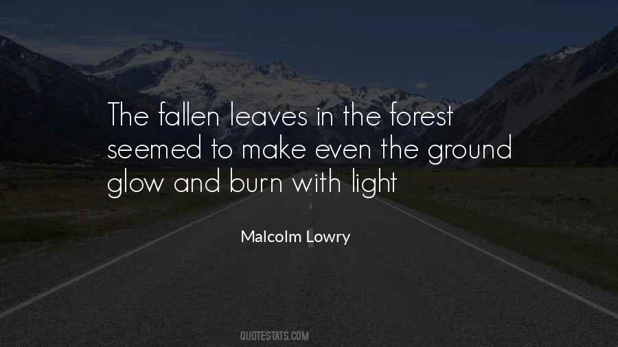 Light In The Forest Quotes #1082508