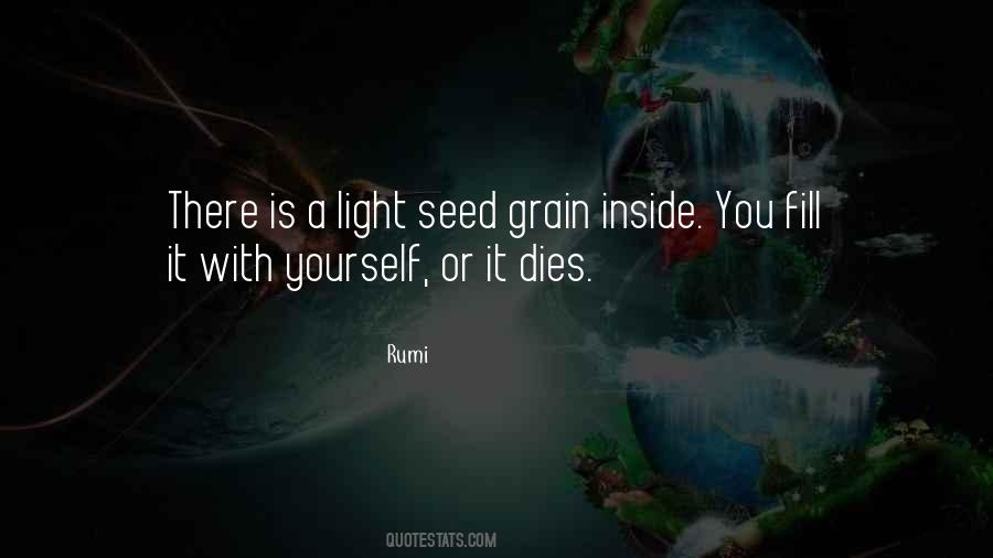 Light Inside You Quotes #827264