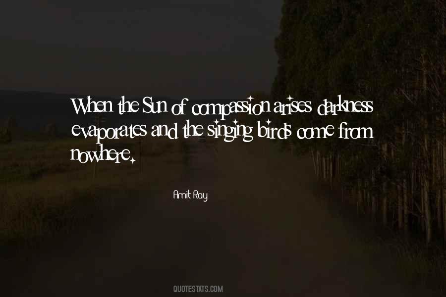 Light Ray Quotes #942508