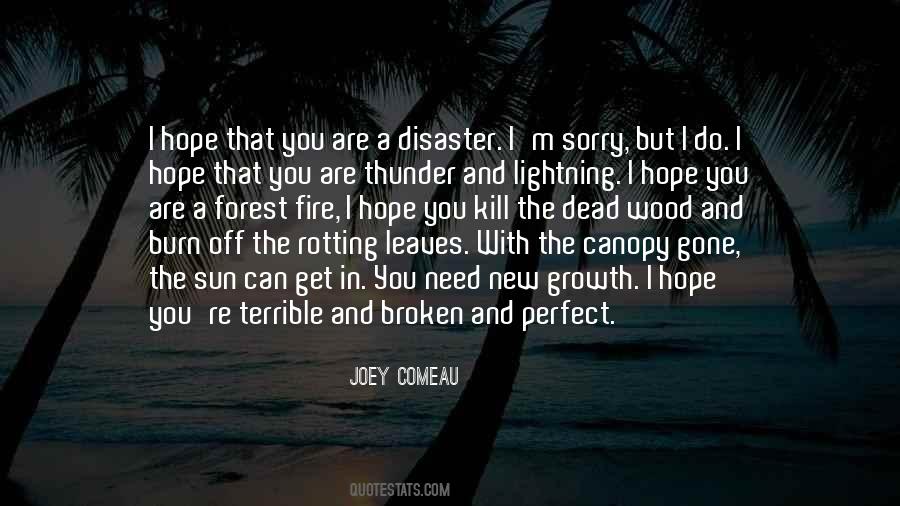Lightning And Thunder Quotes #1021145