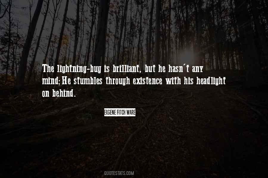 Lightning Bug Quotes #1038939