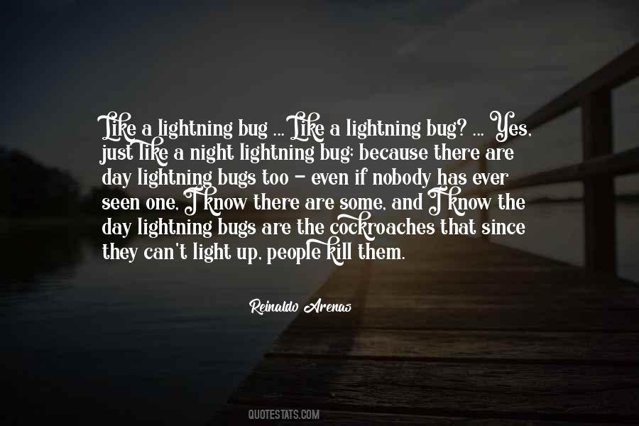 Lightning Bug Quotes #937683