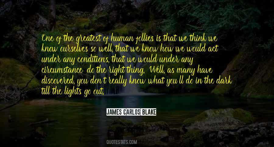 Lights Go Out Quotes #1426419