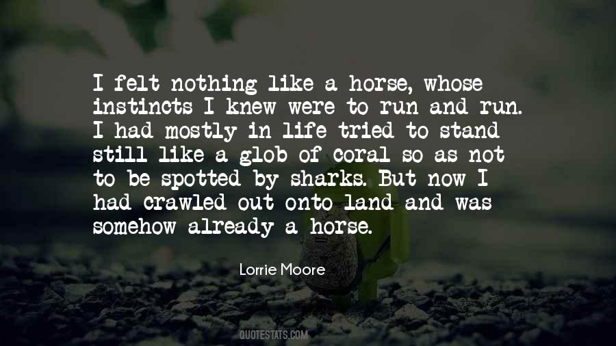 Like A Horse Quotes #470927