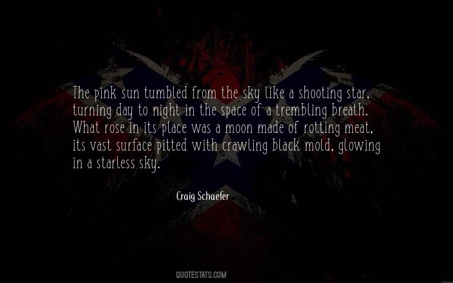 Like A Shooting Star Quotes #1438541
