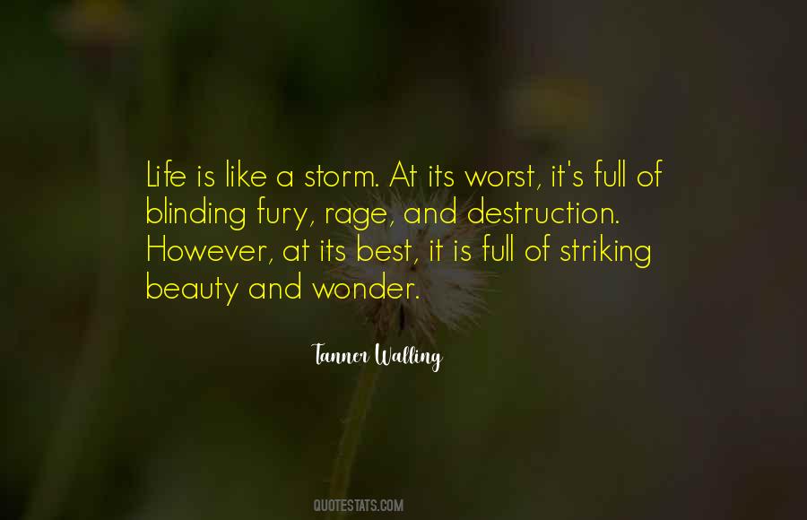 Like A Storm Quotes #625782