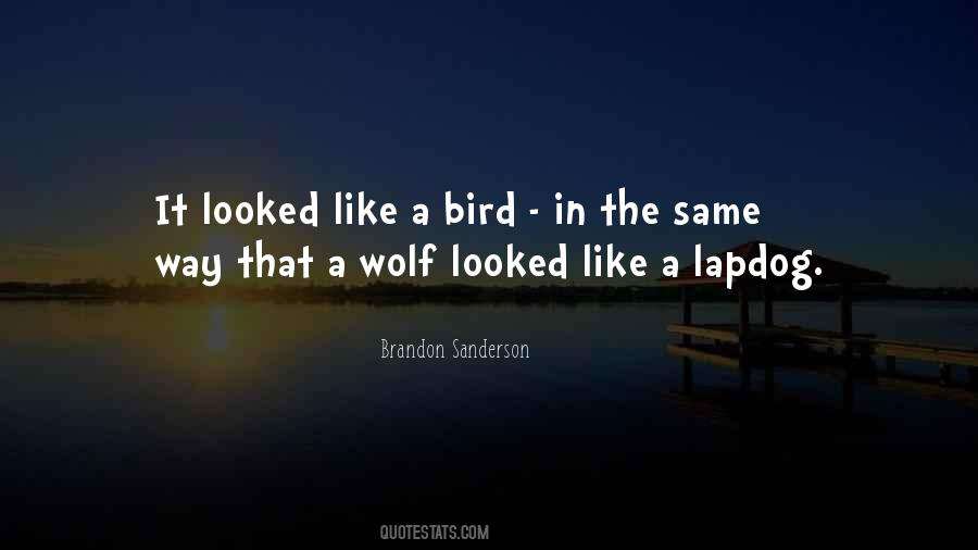 Like A Wolf Quotes #6788