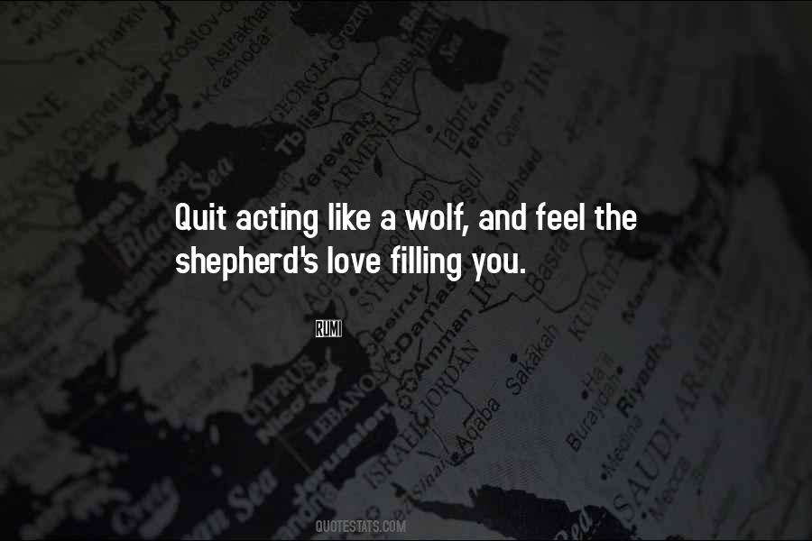 Like A Wolf Quotes #757476